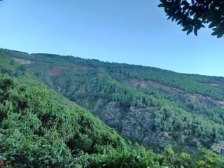 Fossa delle Felci